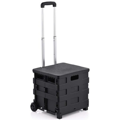 Carrito Plegable De Mercado Negro