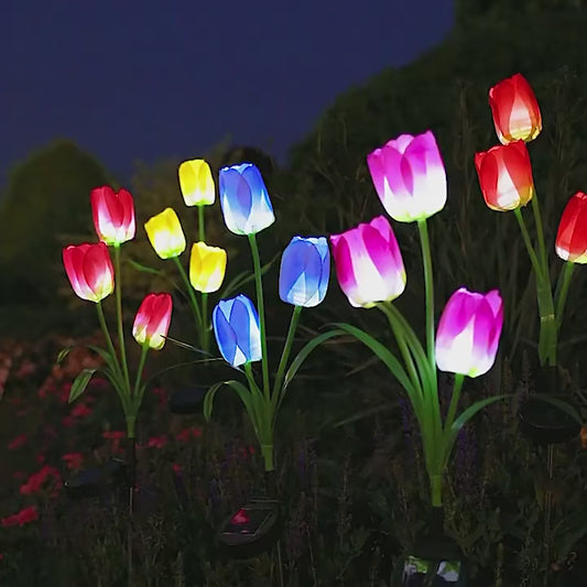 Flor De Luces Solar Diseño De Tulipan